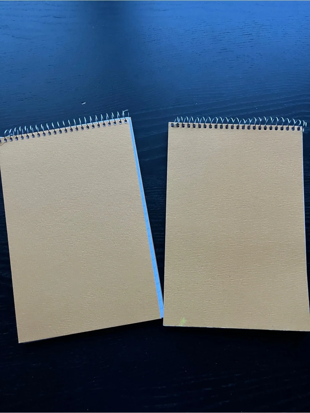 Staples Kraft Steno Book Spiral Memo Pad 6x9 Blue Ruled Gregg Line Notepad 2PK